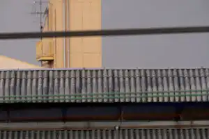 AFボーグ45EDⅡで撮影