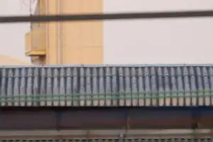 AFボーグ60EDIIで撮影