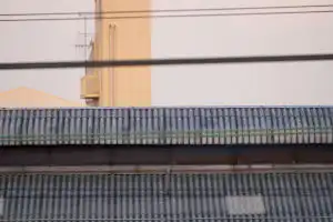 BORG 60ED＋ACNO3で撮影