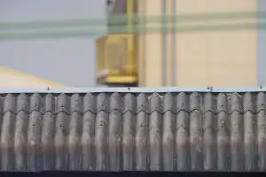 AF BORG89EDで撮影